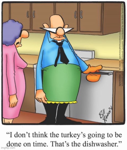 Turkey will not be ready | image tagged in turkey not cooked,you put it in the dishwasher | made w/ Imgflip meme maker