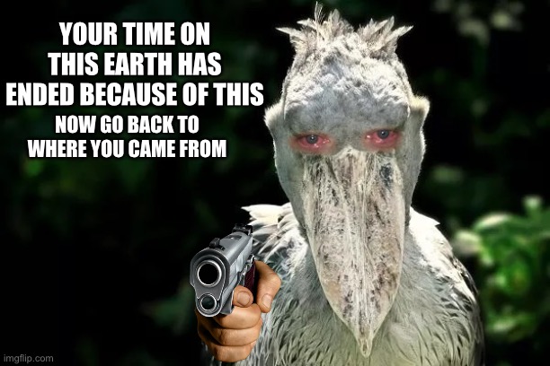 Yes | YOUR TIME ON THIS EARTH HAS ENDED BECAUSE OF THIS; NOW GO BACK TO WHERE YOU CAME FROM | image tagged in devious shoebill | made w/ Imgflip meme maker