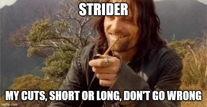 Aragorn smoking | STRIDER; MY CUTS, SHORT OR LONG, DON'T GO WRONG | image tagged in aragorn smoking | made w/ Imgflip meme maker