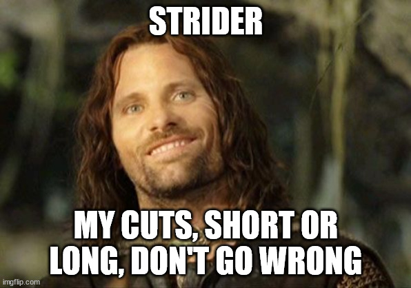 Strider | STRIDER; MY CUTS, SHORT OR LONG, DON'T GO WRONG | image tagged in aragorn | made w/ Imgflip meme maker