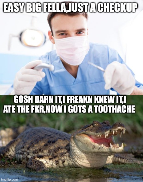 EASY BIG FELLA,JUST A CHECKUP; GOSH DARN IT,I FREAKN KNEW IT,I ATE THE FKR,NOW I GOTS A TOOTHACHE | image tagged in dentist,alligator | made w/ Imgflip meme maker