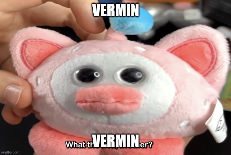 “What the hell, brother?” | VERMIN VERMIN | image tagged in what the hell brother | made w/ Imgflip meme maker