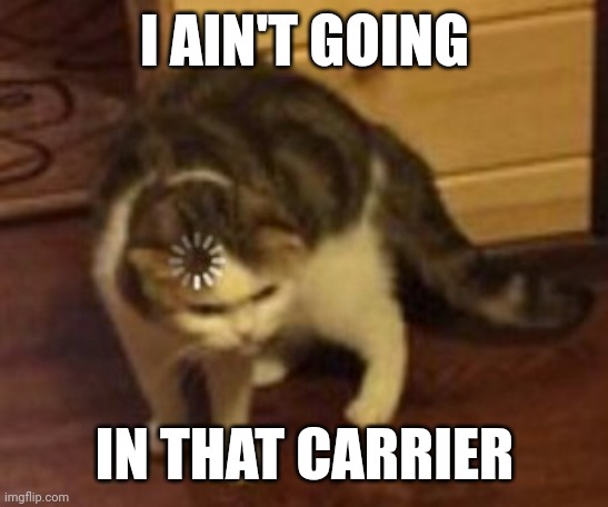 Loading cat | I AIN'T GOING; IN THAT CARRIER | image tagged in loading cat | made w/ Imgflip meme maker