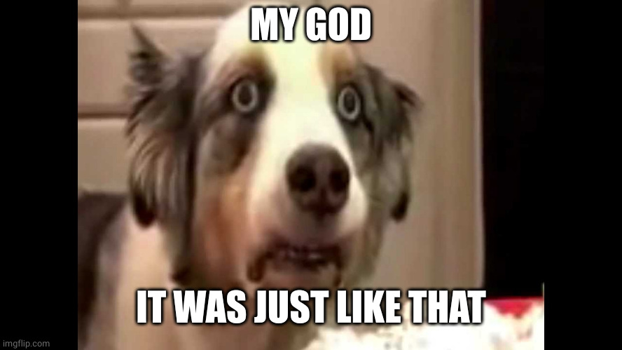 vietnam flashback dog | MY GOD IT WAS JUST LIKE THAT | image tagged in vietnam flashback dog | made w/ Imgflip meme maker