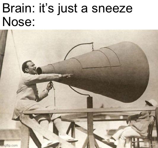 *Brain comes out of nose* | Brain: it’s just a sneeze 
Nose: | image tagged in loud mouth | made w/ Imgflip meme maker