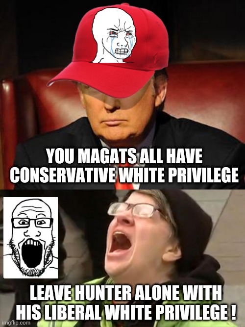 Hunter Would Be in Jail if he was Black | YOU MAGATS ALL HAVE CONSERVATIVE WHITE PRIVILEGE; LEAVE HUNTER ALONE WITH HIS LIBERAL WHITE PRIVILEGE ! | image tagged in trump hat no,liberals,leftists,democrats | made w/ Imgflip meme maker