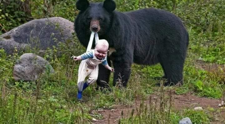High Quality BEAR CARRYING A BABY Blank Meme Template
