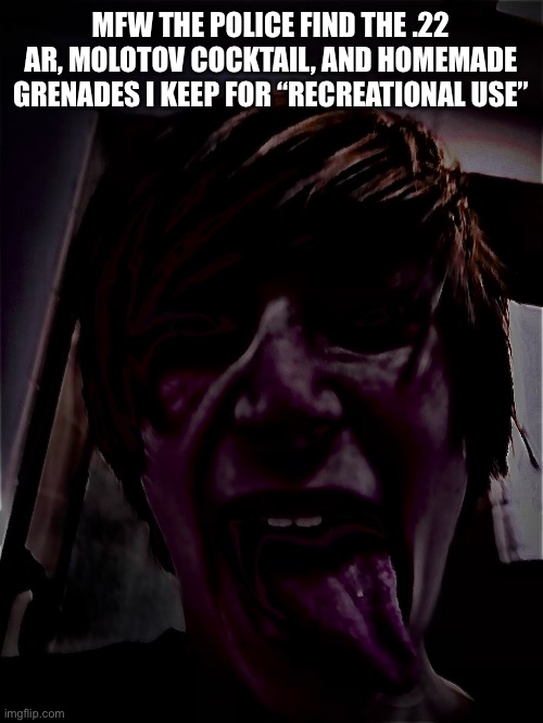 Joke | MFW THE POLICE FIND THE .22 AR, MOLOTOV COCKTAIL, AND HOMEMADE GRENADES I KEEP FOR “RECREATIONAL USE” | made w/ Imgflip meme maker