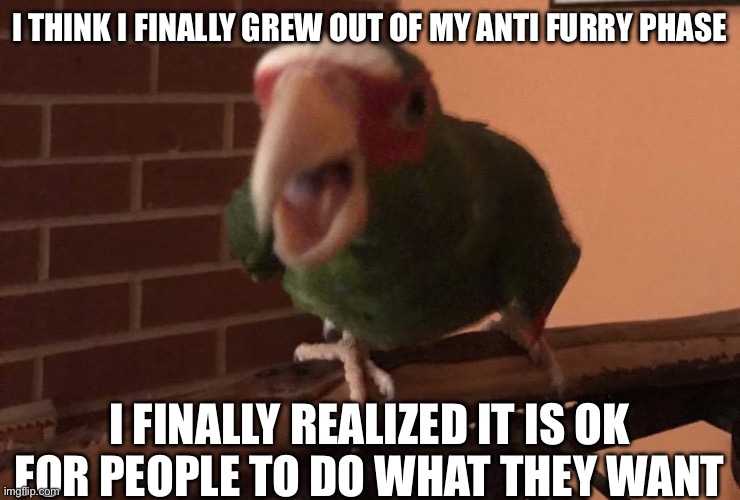 Cabbage has something to say to you | I THINK I FINALLY GREW OUT OF MY ANTI FURRY PHASE; I FINALLY REALIZED IT IS OK FOR PEOPLE TO DO WHAT THEY WANT | image tagged in cabbage has something to say to you | made w/ Imgflip meme maker