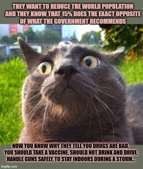 This #lolcat wonders what 'they' are really up to | THEY WANT TO REDUCE THE WORLD POPULATION
AND THEY KNOW THAT 15% DOES THE EXACT OPPOSITE
OF WHAT THE GOVERNMENT RECOMMENDS; NOW YOU KNOW WHY THEY TELL YOU DRUGS ARE BAD, 
YOU SHOULD TAKE A VACCINE, SHOULD NOT DRINK AND DRIVE,
HANDLE GUNS SAFELY, TO STAY INDOORS DURING A STORM... | image tagged in government,conspiracy theory,lolcat,think about it,gullible | made w/ Imgflip meme maker