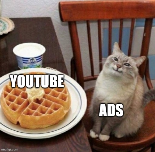 Happy cat with waffle | YOUTUBE; ADS | image tagged in happy cat with waffle | made w/ Imgflip meme maker