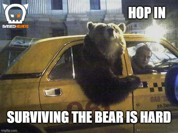 Hop in | HOP IN; SURVIVING THE BEAR IS HARD | image tagged in what's happening bear | made w/ Imgflip meme maker
