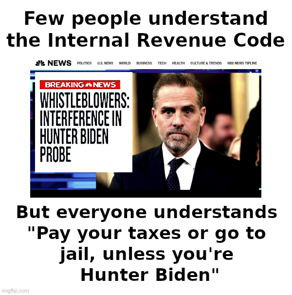 Hunter Biden: Only The Little People Pay Taxes | image tagged in hunter biden,leona helmsley,irs,doj,joe biden,biden crime family | made w/ Imgflip meme maker