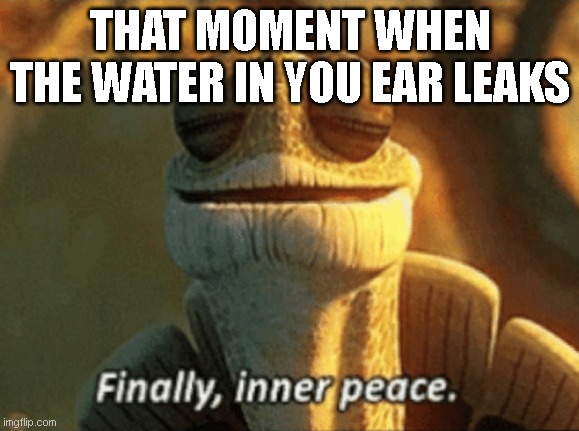 Finally, inner peace. | THAT MOMENT WHEN THE WATER IN YOU EAR LEAKS | image tagged in finally inner peace | made w/ Imgflip meme maker