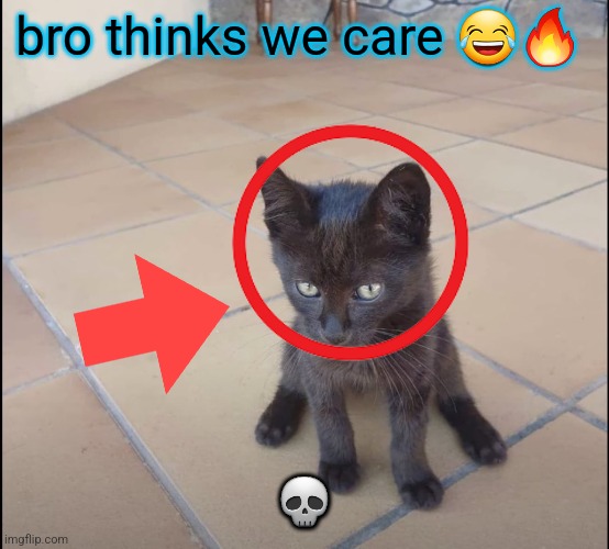 Survival Kitten | bro thinks we care 😂🔥; 💀 | image tagged in survival kitten | made w/ Imgflip meme maker