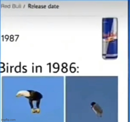 Red bull gives you wiiiiings | made w/ Imgflip meme maker