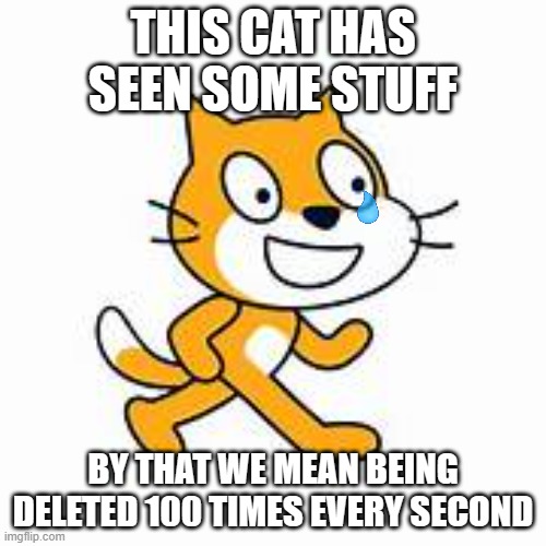 scratch cat has seen some stuff | THIS CAT HAS SEEN SOME STUFF; BY THAT WE MEAN BEING DELETED 100 TIMES EVERY SECOND | image tagged in scratch,scratch cat,deleted | made w/ Imgflip meme maker