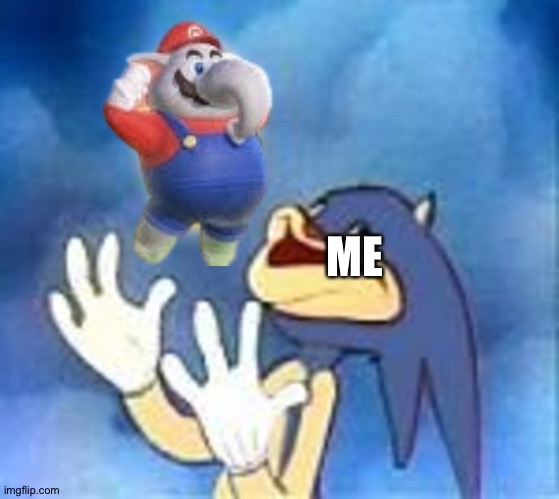 Joyful Sonic | ME | image tagged in joyful sonic | made w/ Imgflip meme maker