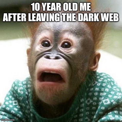 Trust me don’t go there | 10 YEAR OLD ME AFTER LEAVING THE DARK WEB | image tagged in shocked monkey | made w/ Imgflip meme maker