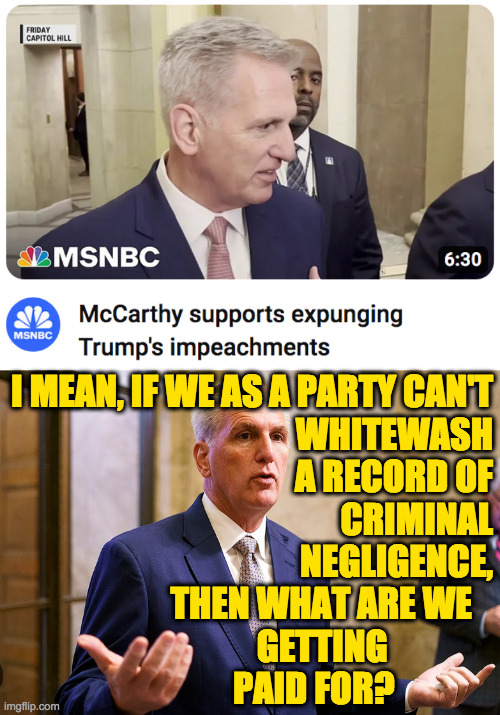 I agree.  It's outrageous that we pay them. | I MEAN, IF WE AS A PARTY CAN'T
WHITEWASH
A RECORD OF
CRIMINAL
NEGLIGENCE,
THEN WHAT ARE WE   
GETTING               
PAID FOR? | image tagged in memes,kevin mccarthy,impeachment | made w/ Imgflip meme maker