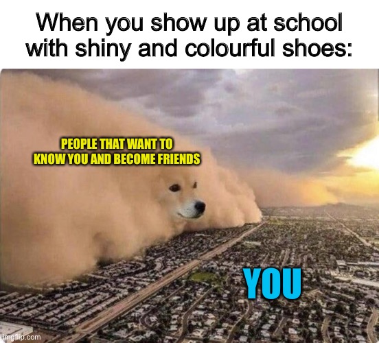 This was so accurate back in grade 6 :) | When you show up at school with shiny and colourful shoes:; PEOPLE THAT WANT TO KNOW YOU AND BECOME FRIENDS; YOU | image tagged in doge cloud | made w/ Imgflip meme maker