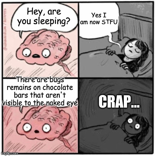 Brain Before Sleep | Yes I am now STFU; Hey, are you sleeping? There are bugs remains on chocolate bars that aren't visible to the naked eye; CRAP... | image tagged in brain before sleep | made w/ Imgflip meme maker