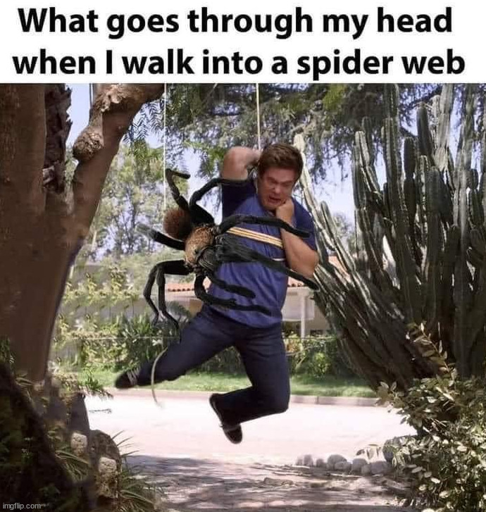 image tagged in spiders | made w/ Imgflip meme maker