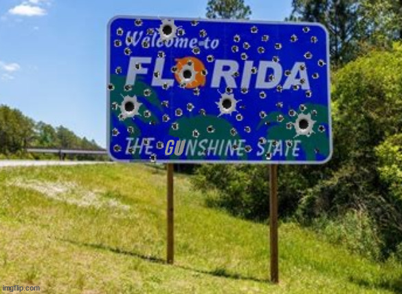 Florida the Gunshine State | G; U | made w/ Imgflip meme maker
