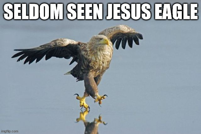 SELDOM SEEN JESUS EAGLE | made w/ Imgflip meme maker