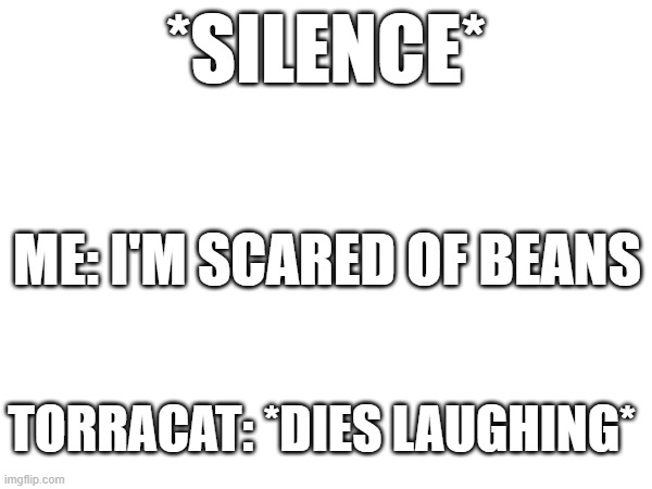 *SILENCE*; ME: I'M SCARED OF BEANS; TORRACAT: *DIES LAUGHING* | made w/ Imgflip meme maker