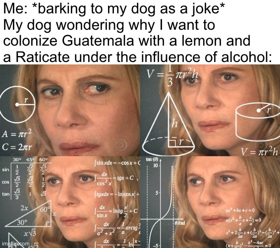 WTF human?! | Me: *barking to my dog as a joke*
My dog wondering why I want to colonize Guatemala with a lemon and a Raticate under the influence of alcohol: | image tagged in calculating meme,memes,funny,dogs,random tag i decided to put,random | made w/ Imgflip meme maker