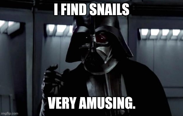 Darth Vader | I FIND SNAILS VERY AMUSING. | image tagged in darth vader | made w/ Imgflip meme maker
