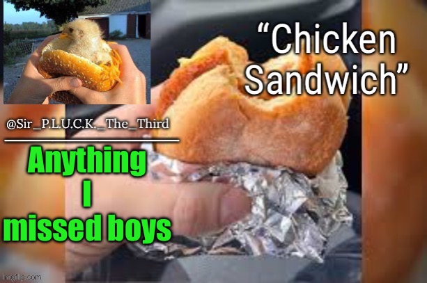 Chicken sandwich (thanks behapp) | Anything I missed boys | image tagged in chicken sandwich thanks behapp | made w/ Imgflip meme maker