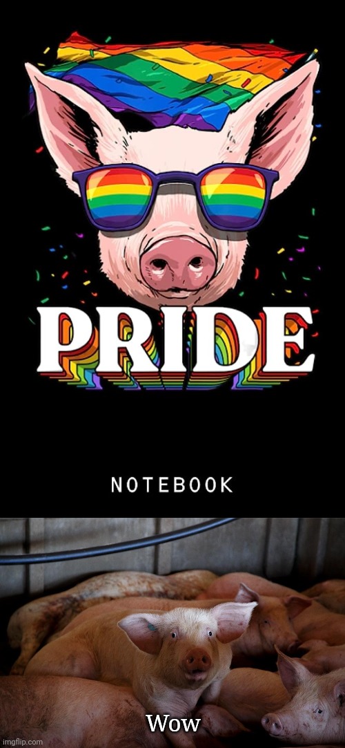 Pig Pride | Wow | image tagged in shocked pig,lgbt,lgbtq,pig,pride,memes | made w/ Imgflip meme maker