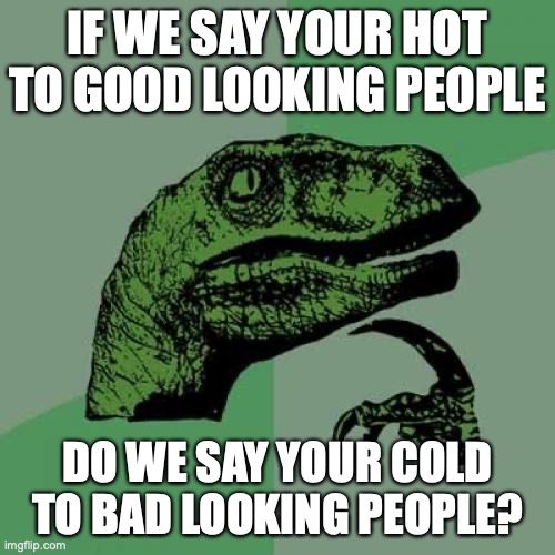 *Original* I didn’t think of this in the shower, so it it really a shower thought? | IF WE SAY YOUR HOT TO GOOD LOOKING PEOPLE; DO WE SAY YOUR COLD TO BAD LOOKING PEOPLE? | image tagged in memes,philosoraptor,shower thoughts | made w/ Imgflip meme maker