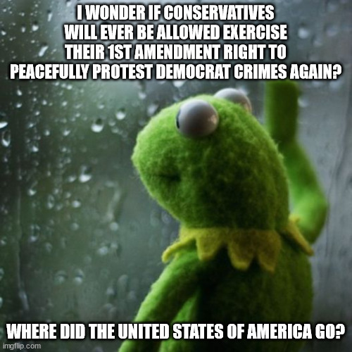 sometimes I wonder  | I WONDER IF CONSERVATIVES WILL EVER BE ALLOWED EXERCISE THEIR 1ST AMENDMENT RIGHT TO PEACEFULLY PROTEST DEMOCRAT CRIMES AGAIN? WHERE DID THE | image tagged in sometimes i wonder | made w/ Imgflip meme maker