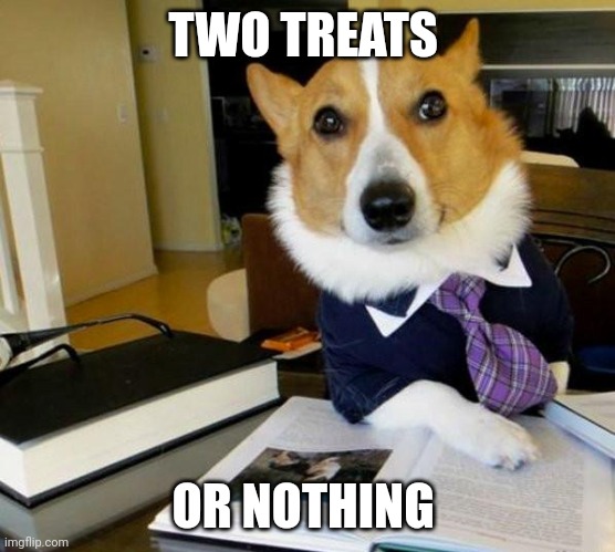 Corgi | TWO TREATS; OR NOTHING | image tagged in lawyer corgi dog | made w/ Imgflip meme maker