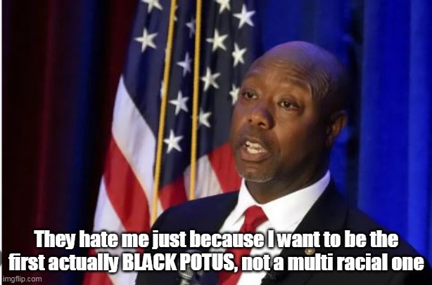 They hate me just because I want to be the first actually BLACK POTUS, not a multi racial one | made w/ Imgflip meme maker