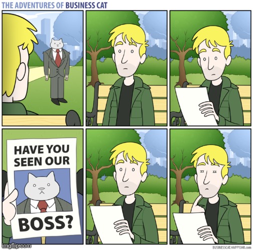 The Adventures of Business Cat #73 - Found | made w/ Imgflip meme maker