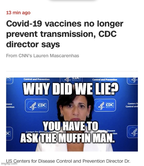 Aids lady | WHY DID WE LIE? YOU HAVE TO ASK THE MUFFIN MAN. | image tagged in aids lady | made w/ Imgflip meme maker