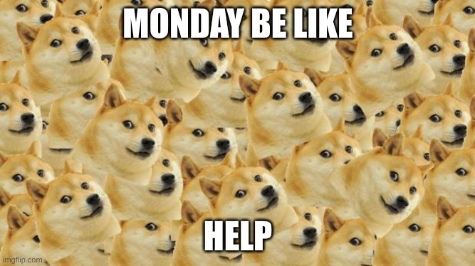 Multi Doge | MONDAY BE LIKE; HELP | image tagged in memes,multi doge | made w/ Imgflip meme maker