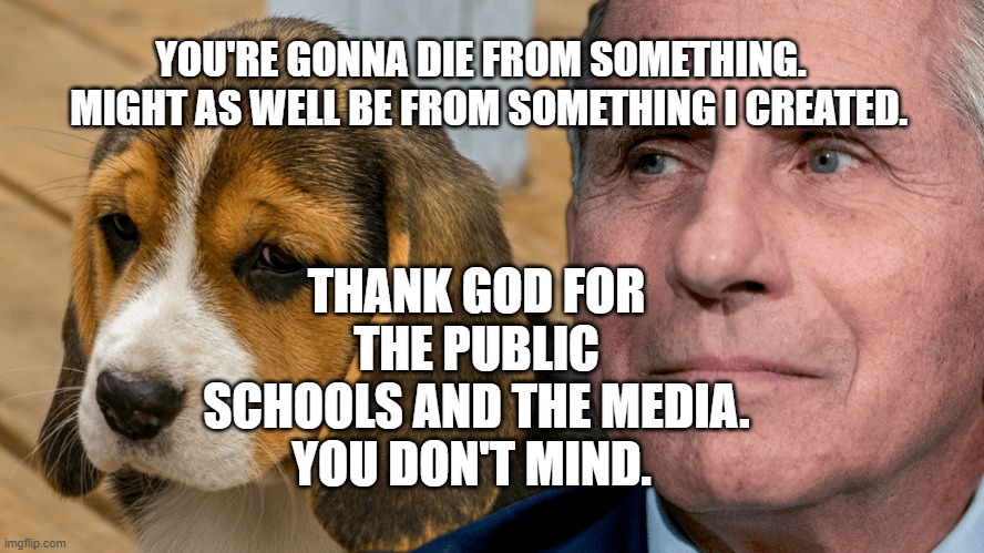 Fauci's Ouchie | YOU'RE GONNA DIE FROM SOMETHING.           MIGHT AS WELL BE FROM SOMETHING I CREATED. THANK GOD FOR THE PUBLIC SCHOOLS AND THE MEDIA. YOU DON'T MIND. | image tagged in fauci's ouchie | made w/ Imgflip meme maker