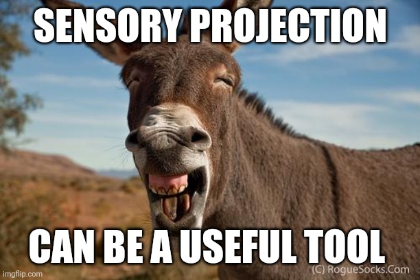 Smell my ass | SENSORY PROJECTION; CAN BE A USEFUL TOOL | image tagged in donkey jackass braying | made w/ Imgflip meme maker