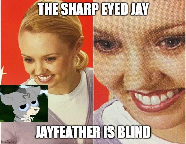 That's just mean | THE SHARP EYED JAY; JAYFEATHER IS BLIND | image tagged in wait what | made w/ Imgflip meme maker