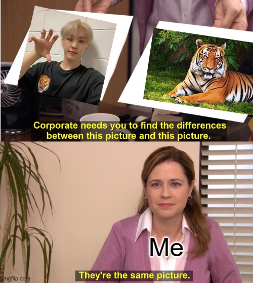 Hoshi | Me | image tagged in memes,they're the same picture | made w/ Imgflip meme maker