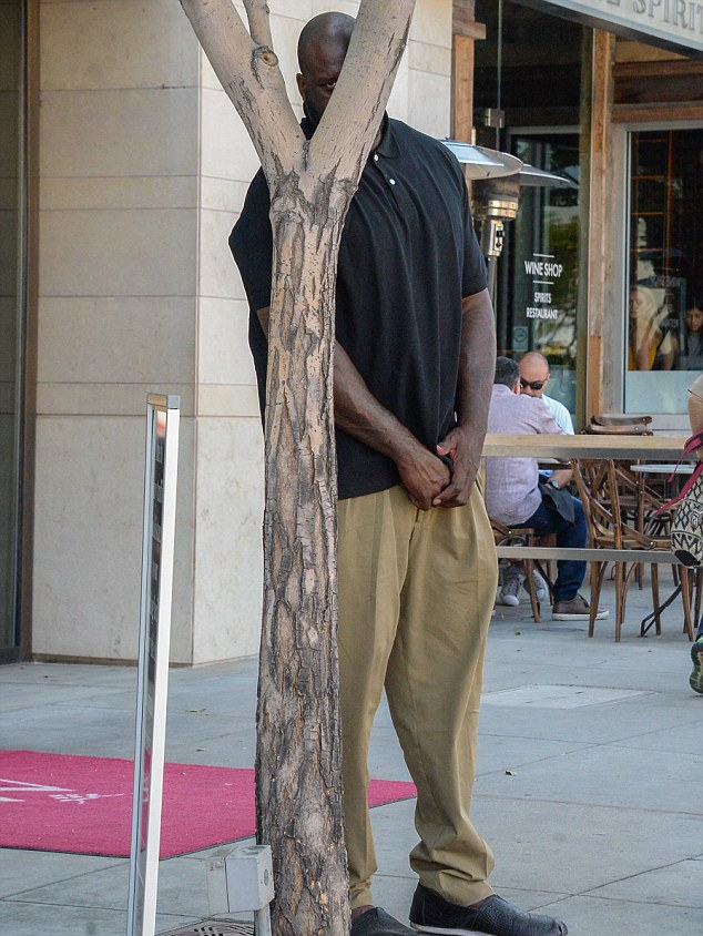 High Quality Shaq hiding Blank Meme Template