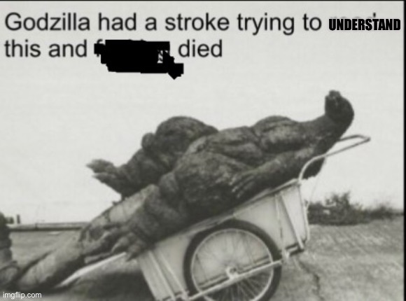 Godzila had a stroke trying to read this | UNDERSTAND | image tagged in godzila had a stroke trying to read this | made w/ Imgflip meme maker