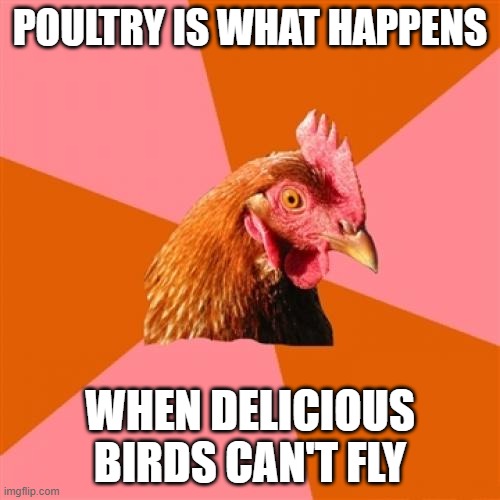 Poultry Poetry | POULTRY IS WHAT HAPPENS; WHEN DELICIOUS BIRDS CAN'T FLY | image tagged in memes,anti joke chicken | made w/ Imgflip meme maker
