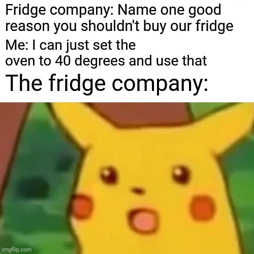 Surprised Pikachu | Fridge company: Name one good reason you shouldn't buy our fridge; Me: I can just set the oven to 40 degrees and use that; The fridge company: | image tagged in memes,surprised pikachu | made w/ Imgflip meme maker