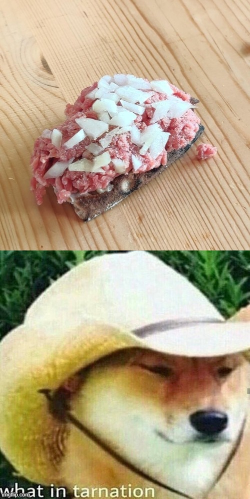 "It's RAW" -Gordon Ramsey | image tagged in what in tarnation dog | made w/ Imgflip meme maker